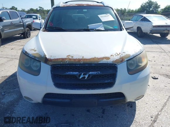 2007 Hyundai Santa Fe SE with VIN 5NMSH13EX7H052857, listed as a IAAI auction lot 42548659 with 136,445 mi miles and . Bid and sale history available at DreamBid. Image 6.