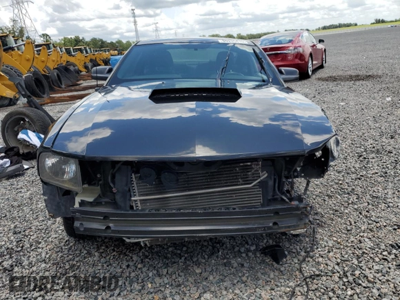 2006 Ford Mustang GT Deluxe with VIN 1ZVHT82H465191958, listed as a Copart auction lot 65255415 with Not provided miles and Salvage title. Bid and sale history available at DreamBid. Image 5.