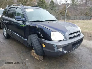 2005 Hyundai Santa Fe GLS with VIN KM8SC73D45U943575, listed as a IAAI auction lot 41676922 with 265,333 mi miles. Bid and sale history available at carsss.com. Image 6.