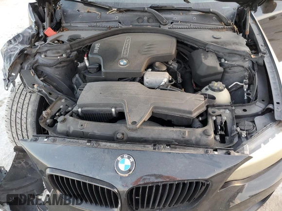 2014 BMW 2 Series 228i with VIN WBA1F5C54EVV99497, listed as a Copart auction lot 42703515 with 135,719 mi miles and Salvage Title. Bid and sale history available at DreamBid. Image 11.