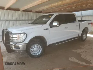 2019 Ford F-150 XL with VIN 1FTEW1E50KKC91640, listed as a Copart auction lot 54020375 with 139,655 mi miles and Clean Title. Bid and sale history available at DreamBid. Image 1.