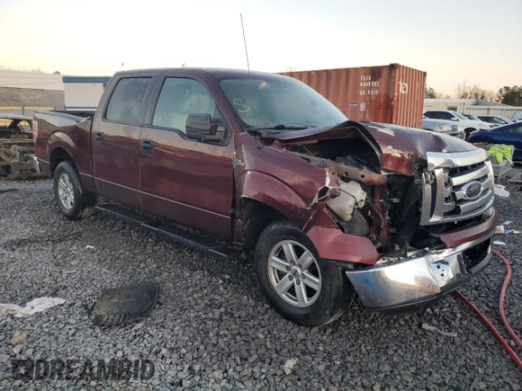 2009 Ford F-150 XL with VIN 1FTPW12V69KC71691, listed as a Copart auction lot 46351605 with 219,531 mi miles and Salvage Title. Bid and sale history available at carsss.com. Image 4.