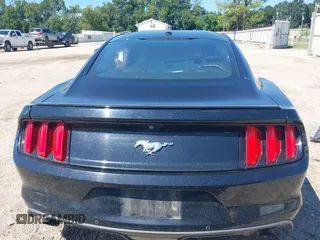 2017 Ford Mustang EcoBoost with VIN 1FA6P8TH4H5203290, listed as a IAAI auction lot 40332376 with Not Provided miles and . Bid and sale history available at carsss.com. Image 16.