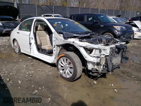 2013 Honda Accord Sdn EX-L with VIN 1HGCR2F84DA209027, listed as a Copart auction lot 48967195 with Not Provided miles and Non Repairable. Bid and sale history available at carsss.com. Image 4.