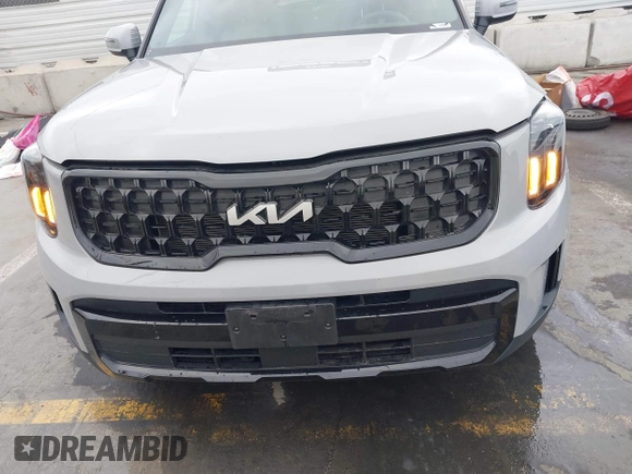 2024 Kia Telluride EX X-Line with VIN 5XYP3DGC9RG464408, listed as a IAAI auction lot 42289639 with 11,873 mi miles and . Bid and sale history available at DreamBid. Image 13.