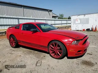 2013 Ford Mustang V6 with VIN 1ZVBP8AM4D5245488, listed as a Copart auction lot 53829135 with 123,512 mi miles and Salvage Title. Bid and sale history available at carsss.com. Image 13.
