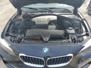 2016 BMW 2 Series 228i xDrive with VIN WBA1G9C52GV598419, listed as a Copart auction lot 62464515 with 49,793 mi miles and Salvage title. Bid and sale history available at DreamBid. Image 11.