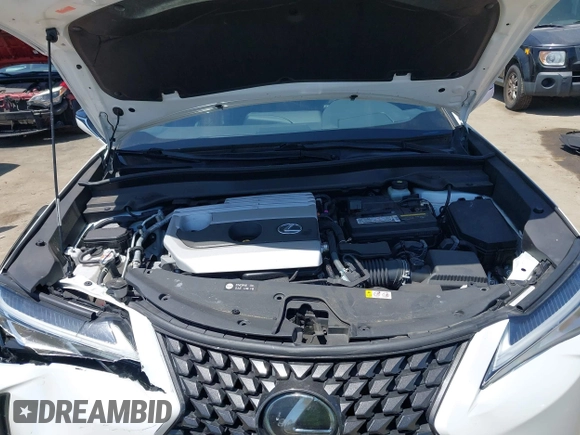 2020 Lexus UX 200 z VIN JTHX3JBH3L2029076, wystawiony jako IAAI lot #42554639 z przebiegiem 62 861 mil mil oraz . Historia ofert i sprzedaży dostępna na DreamBid. Obrazek 10.