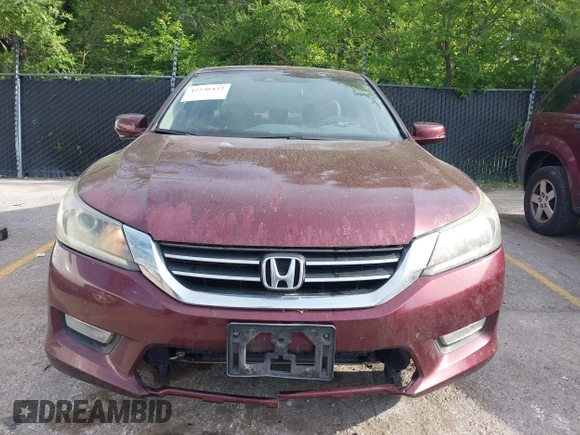 2013 Honda Accord EX-L with VIN 1HGCR2F87DA097551, listed as a IAAI auction lot 42236432 with 185,998 mi miles and . Bid and sale history available at DreamBid. Image 6.