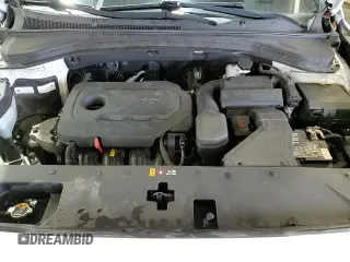 2019 Hyundai Santa Fe SE z VIN 5NMS2CAD5KH100300, wystawiony jako Copart lot #84593235 z przebiegiem 64 830 mil mil oraz Szkoda całkowita • Salvage title. Historia ofert i sprzedaży dostępna na DreamBid. Obrazek 16.