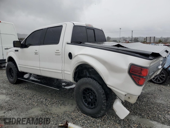 2012 Ford F-150 XL with VIN 1FTFW1ET1CFC09699, listed as a Copart auction lot 48253405 with 189,050 mi miles and Salvage Title. Bid and sale history available at carsss.com. Image 2.