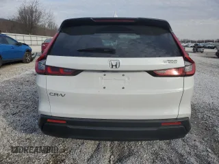 2025 Honda CR-V EX with VIN 2HKRS4H48SH437170, listed as a Copart auction lot 42951505 with 1,464 mi miles and Salvage Title. Bid and sale history available at DreamBid. Image 6.