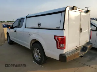 2017 Ford F-150 XL with VIN 1FTEX1C80HKE24030, listed as a Copart auction lot 48968435 with 175,104 mi miles and Clean Title. Bid and sale history available at carsss.com. Image 2.