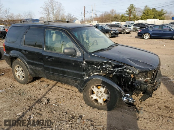 2006 Ford Escape Limited with VIN 1FMYU94196KC82484, listed as a Copart auction lot 48523075 with 208,093 mi miles and Salvage title. Bid and sale history available at DreamBid. Image 4.