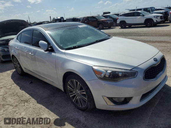 2014 Kia Cadenza Premium with VIN KNALN4D72E5167044, listed as a Copart auction lot 76995534 with 0 mi miles and Non Repairable. Bid and sale history available at carsss.com. Image 4.