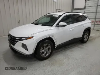 2024 Hyundai Tucson SEL with VIN 5NMJB3DE5RH299570, listed as a Copart auction lot 42302955 with 41,534 mi miles and Clean Title. Bid and sale history available at carsss.com. Image 1.