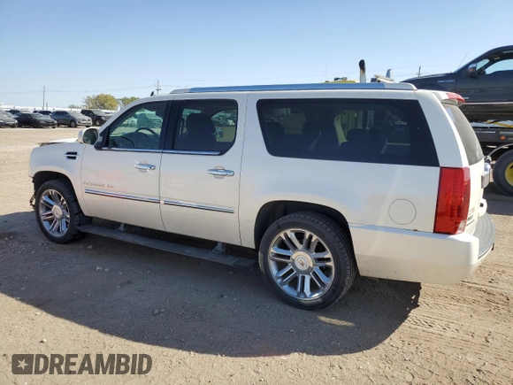 2009 Cadillac Escalade z VIN 1GYFK362X9R143541, wystawiony jako Copart lot #74832044 z przebiegiem 144 597 mil mil oraz Szkoda całkowita • Salvage title. Historia ofert i sprzedaży dostępna na DreamBid. Obrazek 2.