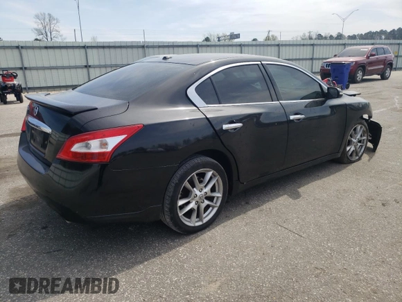 2009 Nissan Maxima SV with VIN 1N4AA51E99C807465, listed as a Copart auction lot 49768325 with Not Provided miles and Salvage Title. Bid and sale history available at DreamBid. Image 3.