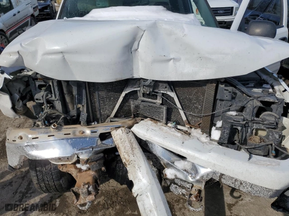2006 Chevrolet Silverado 1500 LS with VIN 2GCEK13V961314935, listed as a Copart auction lot 48843765 with 0 mi miles and Salvage Title. Bid and sale history available at carsss.com. Image 11.