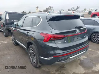 2023 Hyundai Santa Fe Limited with VIN 5NMS5DA19PH013204, listed as a IAAI auction lot 41909727 with 17,206 mi miles and . Bid and sale history available at DreamBid. Image 3.