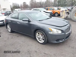 2009 Nissan Maxima SV with VIN 1N4AA51E19C818847, listed as a IAAI auction lot 41866300 with 172,446 mi miles and . Bid and sale history available at DreamBid. Image 1.