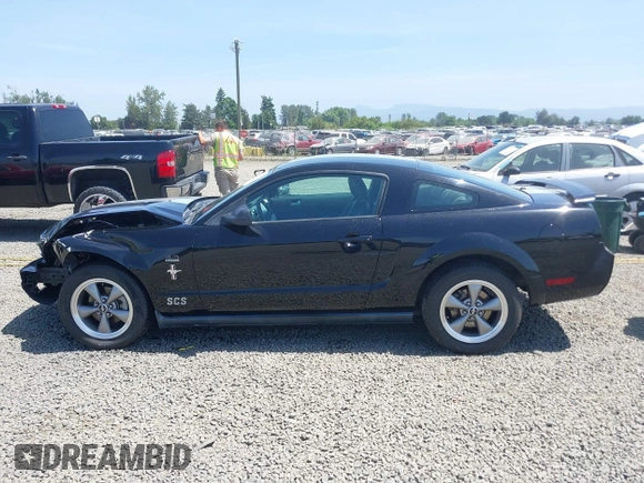 2006 Ford Mustang Standard with VIN 1ZVFT80N065182187, listed as a IAAI auction lot 42453637 with Not provided miles and . Bid and sale history available at DreamBid. Image 15.