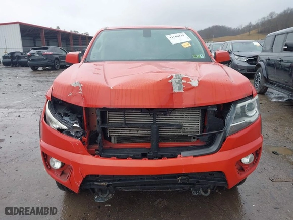2016 Chevrolet Colorado 4WD Z71 with VIN 1GCPTDE15G1268559, listed as a IAAI auction lot 41560339 with 123,164 mi miles. Bid and sale history available at carsss.com. Image 12.