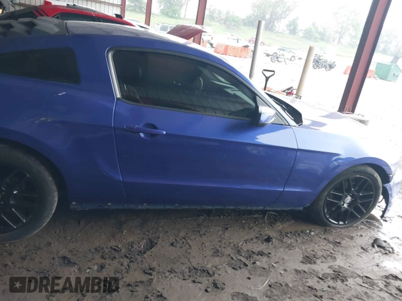 2013 Ford Mustang V6 with VIN 1ZVBP8AM2D5262273, listed as a IAAI auction lot 42411691 with 163,552 mi miles and . Bid and sale history available at DreamBid. Image 14.