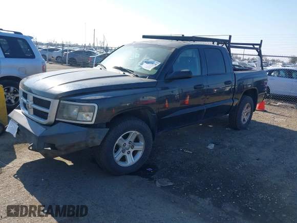 2010 Dodge Dakota Bighorn/Lonestar with VIN 1D7CW3GK1AS155513, listed as a IAAI auction lot 41437670 with 184,199 mi miles. Bid and sale history available at carsss.com. Image 17.