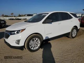 2021 Chevrolet Equinox LS with VIN 3GNAXFEV7MS104871, listed as a Copart auction lot 74592003 with 49,069 mi miles and Salvage title. Bid and sale history available at DreamBid. Image 1.