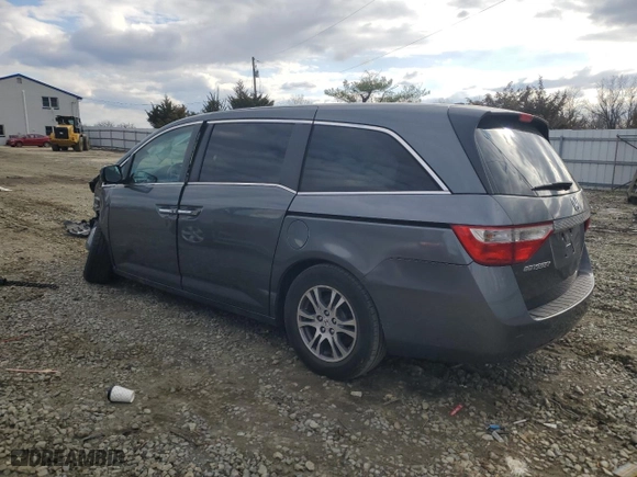 2013 Honda Odyssey EX-L with VIN 5FNRL5H60DB024911, listed as a Copart auction lot 48499285 with 0 mi miles and Salvage Title. Bid and sale history available at carsss.com. Image 2.