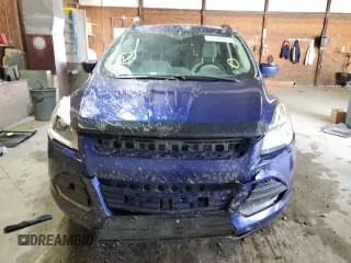2014 Ford Escape SE with VIN 1FMCU9G90EUD21655, listed as a Copart auction lot 55458095 with 167,900 mi miles and Salvage Title. Bid and sale history available at DreamBid. Image 5.