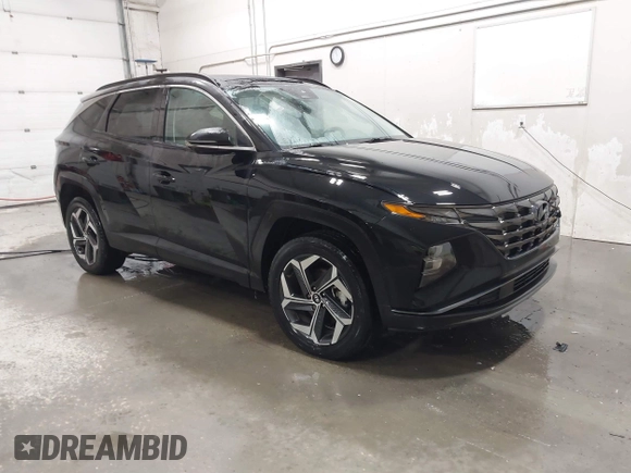 2024 Hyundai Tucson Limited with VIN 5NMJECDE7RH340093, listed as a IAAI auction lot 41379782 with 33,448 mi miles. Bid and sale history available at carsss.com. Image 1.