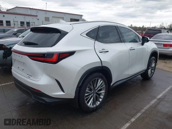 2023 Lexus NX 350h Premium with VIN JTJGKCEZ6P2011257, listed as a IAAI auction lot 41706179 with 4,917 mi miles and . Bid and sale history available at DreamBid. Image 4.
