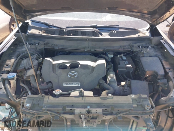 2019 Mazda CX-9 Grand Touring with VIN JM3TCBDY7K0302444, listed as a IAAI auction lot 41998110 with 166,298 mi miles and . Bid and sale history available at DreamBid. Image 10.