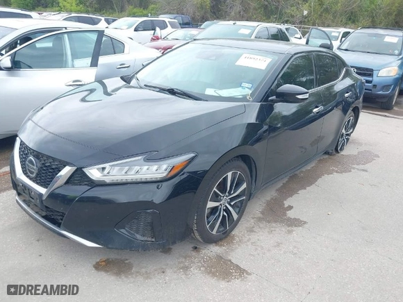 2021 Nissan Maxima SV with VIN 1N4AA6CV2MC508525, listed as a IAAI auction lot 41892374 with 95,532 mi miles. Bid and sale history available at carsss.com. Image 2.