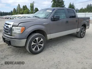 2009 Ford F-150 XL with VIN 1FTPW14V69FA77815, listed as a Copart auction lot 65020375 with 273,313 mi miles and Clean title. Bid and sale history available at DreamBid. Image 1.
