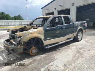 2013 Ford F-150 XL with VIN 1FTFW1ET1DKG15250, listed as a Copart auction lot 60527925 with Not provided miles and Non repairable. Bid and sale history available at DreamBid. Image 1.