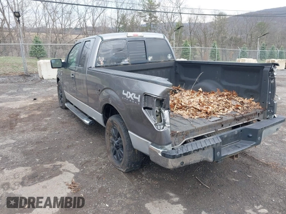 2011 Ford F-150 XL with VIN 1FTFX1EF0BFC70449, listed as a IAAI auction lot 41965403 with Not provided miles and . Bid and sale history available at DreamBid. Image 3.