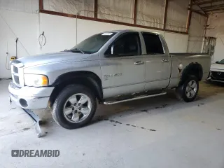 2005 Dodge 1500 SLT with VIN 1D7HU18D85S358677, listed as a Copart auction lot 49873705 with Not Provided miles and Non Repairable. Bid and sale history available at carsss.com. Image 1.