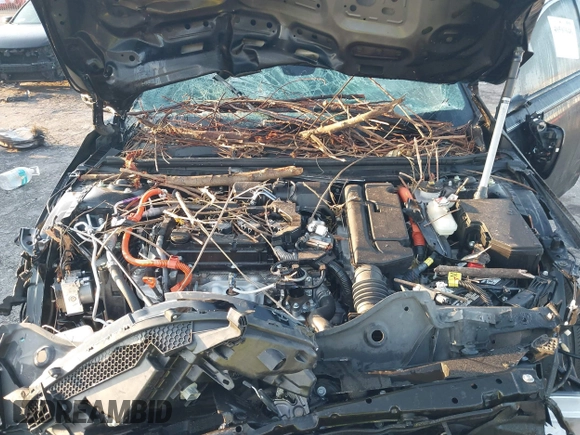 2024 Honda Accord Sport с VIN 1HGCY2F55RA025795, выставлен на аукционе IAAI как лот 40593046 с пробегом 18 847 миль миль и . История ставок и продаж доступна на DreamBid. Изображение 10.