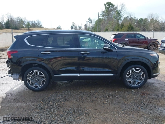 2021 Hyundai Santa Fe Limited with VIN 5NMS44AL3MH317127, listed as a IAAI auction lot 41355042 with 46,790 mi miles. Bid and sale history available at carsss.com. Image 14.