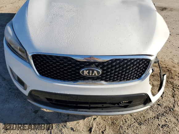 2016 Kia Sorento EX with VIN 5XYPHDA16GG137051, listed as a Copart auction lot 45541995 with 0 mi miles and Salvage Title. Bid and sale history available at carsss.com. Image 13.