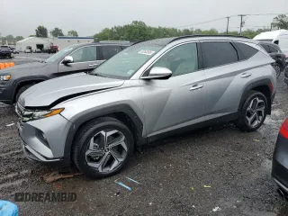 2022 Hyundai Tucson Limited with VIN 5NMJECAE7NH077439, listed as a Copart auction lot 60263395 with 25,011 mi miles and Salvage title. Bid and sale history available at DreamBid. Image 1.