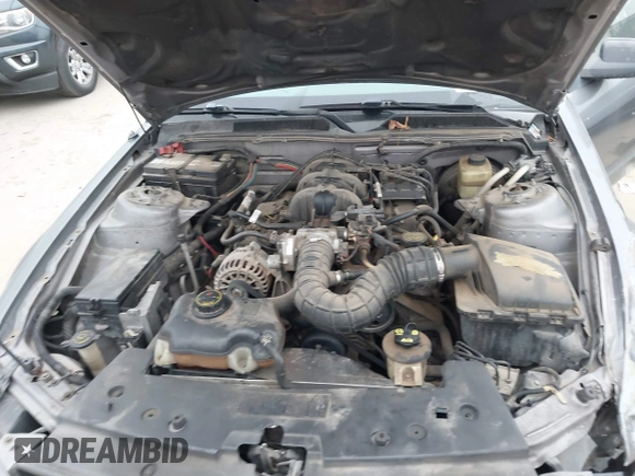 2006 Ford Mustang Standard with VIN 1ZVFT84N565190246, listed as a IAAI auction lot 41532901 with 209,885 mi miles and . Bid and sale history available at carsss.com. Image 10.