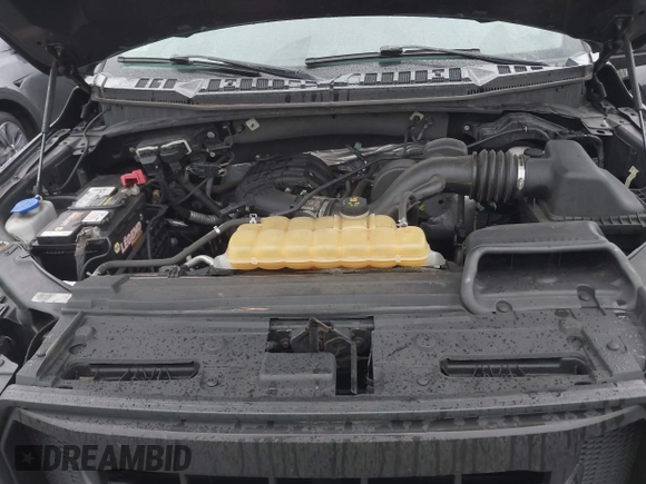 2017 Ford F-150 XL with VIN 1FTEX1E89HKD96516, listed as a IAAI auction lot 41609804 with 166,019 mi miles. Bid and sale history available at carsss.com. Image 10.