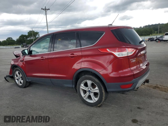 2014 Ford Escape SE with VIN 1FMCU9G95EUC28078, listed as a Copart auction lot 59108245 with 134,170 mi miles and Salvage title. Bid and sale history available at DreamBid. Image 2.