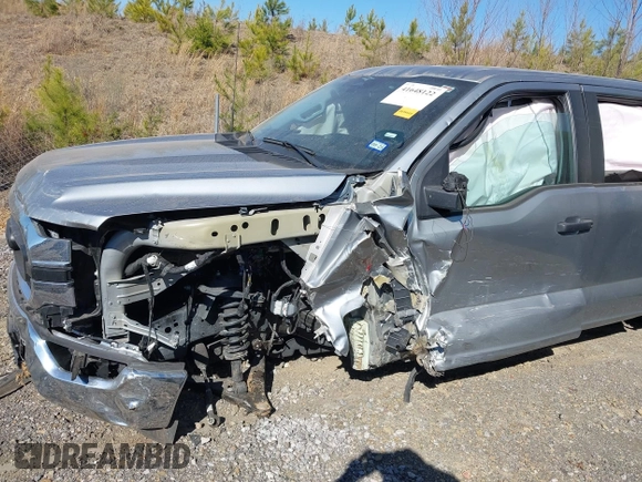 2023 Ford F-150 XL with VIN 1FTEW1C80PKE77571, listed as a IAAI auction lot 41648122 with 49,196 mi miles and . Bid and sale history available at DreamBid. Image 6.