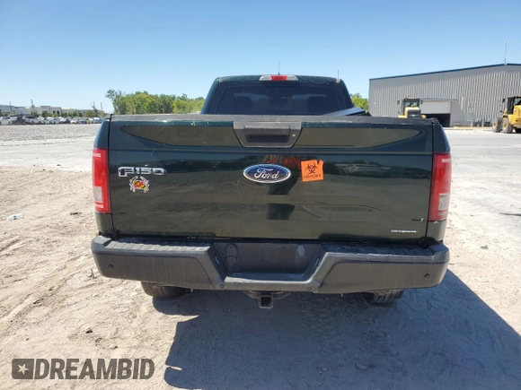 2015 Ford F-150 XL with VIN 1FTMF1EF3FKE53643, listed as a Copart auction lot 50200805 with 133,596 mi miles and Salvage title. Bid and sale history available at DreamBid. Image 6.