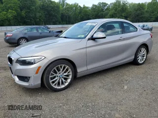 2015 BMW 2 Series 228i with VIN WBA1F5C53FV257072, listed as a Copart auction lot 63136325 with 117,541 mi miles and Clean title. Bid and sale history available at DreamBid. Image 1.